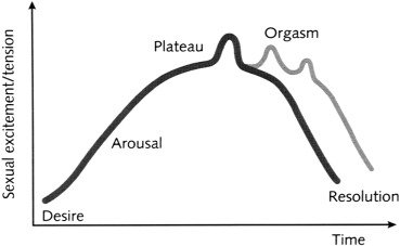 The Sexual Response Cycle SCI Sexual Health